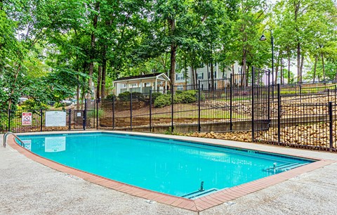 Dominium-Fulton Pointe-Pool